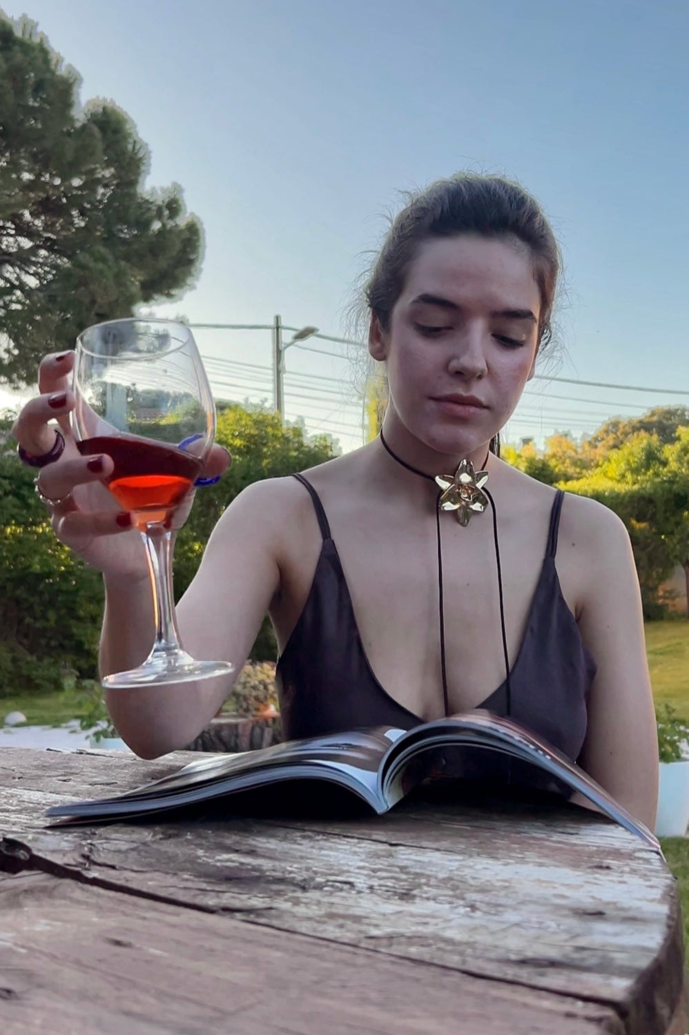 Eucharis Golden Hour