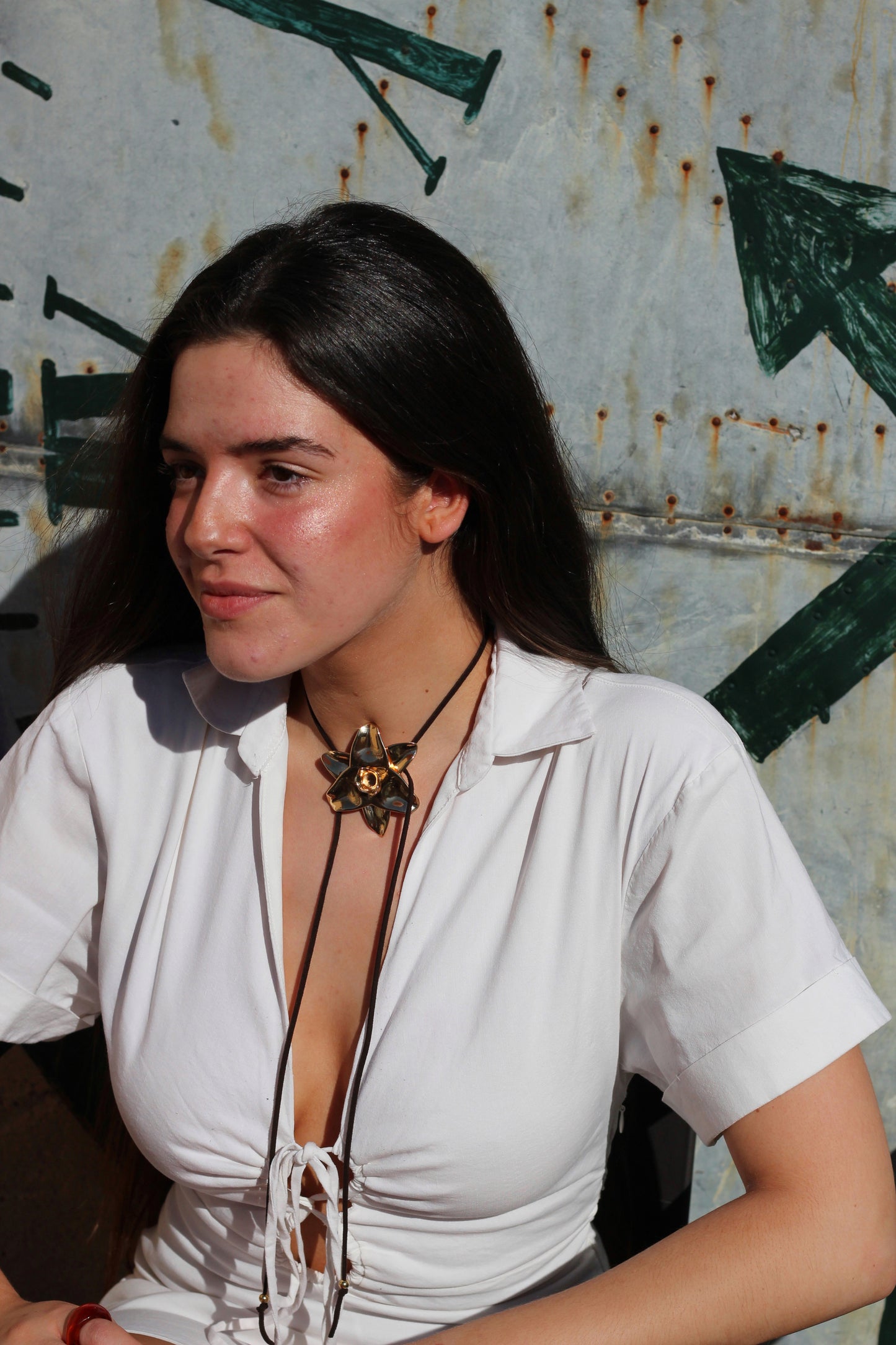 Eucharis Golden Hour