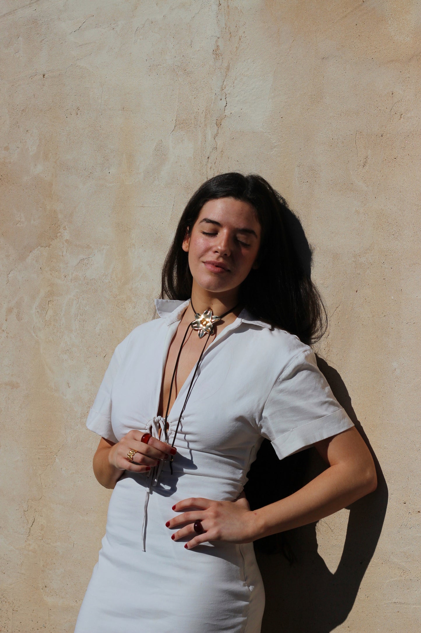 Eucharis Golden Hour